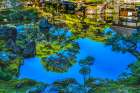 Colorful pond reflection Togu-do Hall, Ginkaku-ji Temple, Kyoto, Japan. Also known as Jisho-ji. Art Print